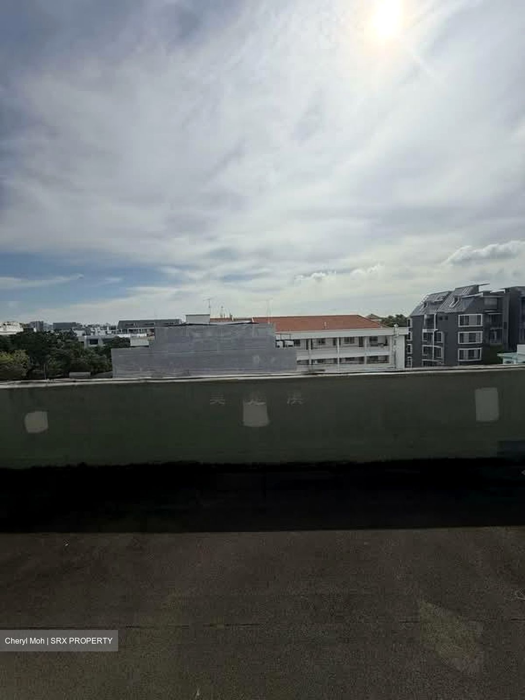 Le Conney Park (D15), Apartment #583423821